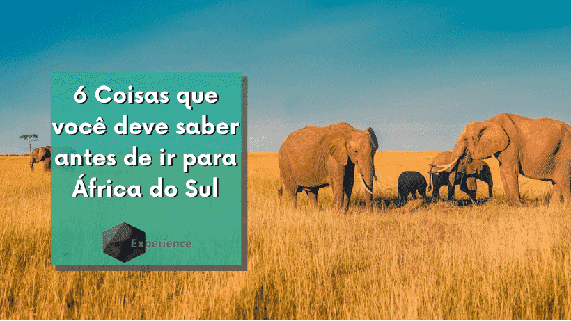 6 Coisas que você deve saber antes de ir para África do Sul