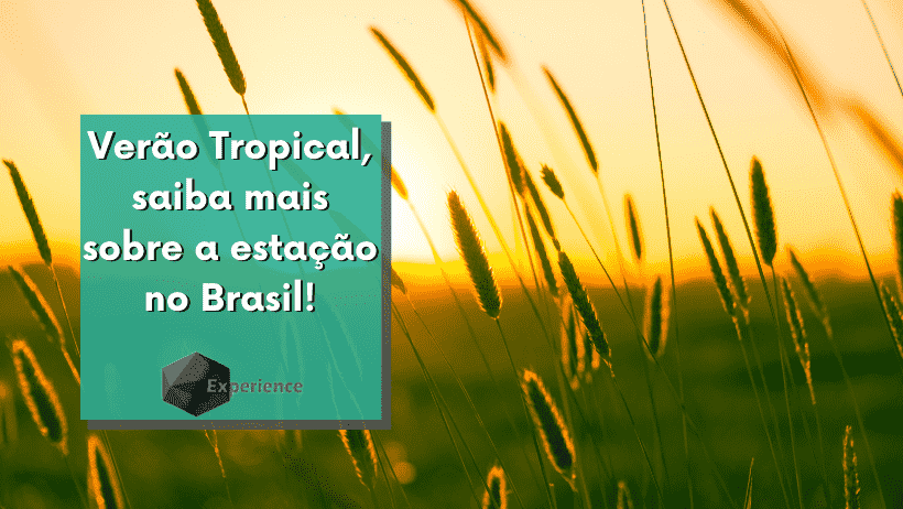Verão Tropical, saiba mais sobre a estação no Brasil!