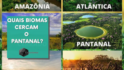 QUAIS BIOMAS CERCAM O PANTANAL?