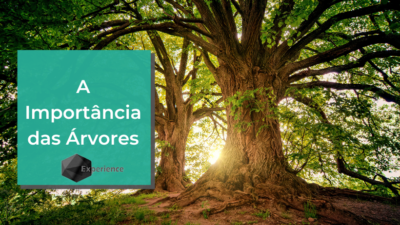 A Importância das Árvores