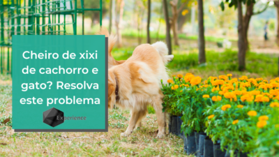 Cheiro de xixi de cachorro e gato? Resolva este problema