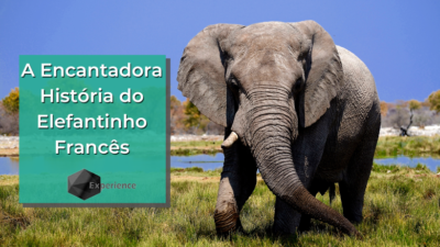 A Encantadora História do Elefantinho Francês
