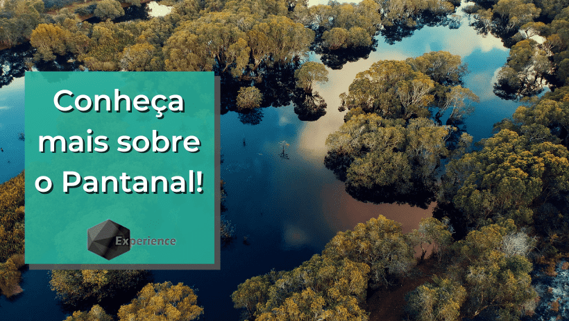 Conheça mais sobre o Pantanal!