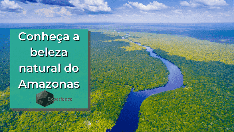 Conheça a beleza natural do Amazonas
