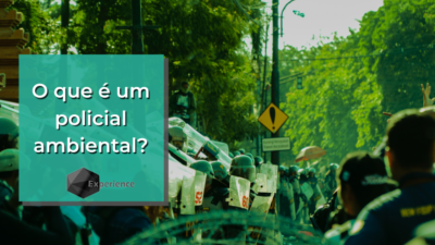 O que é um policial ambiental?