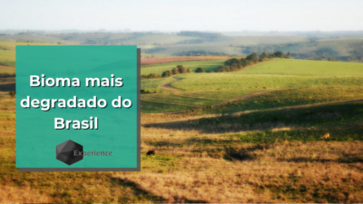 Bioma mais degradado do Brasil