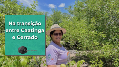 Na transição entre Caatinga e Cerrado
