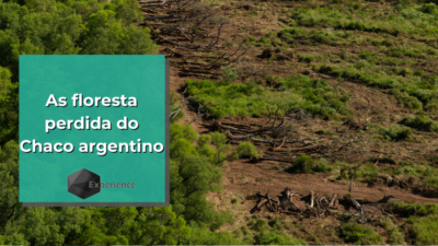As floresta perdida do Chaco argentino