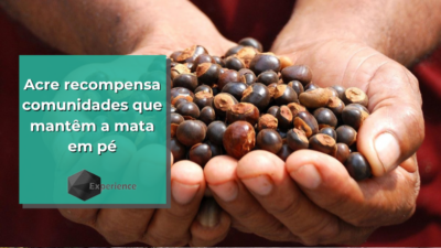 Acre recompensa comunidades que mantêm a mata em pé