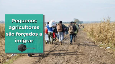 Pequenos agricultores são forçados a imigrar