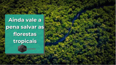 Ainda vale a pena salvar as florestas tropicais