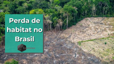 Perda de habitat no Brasil