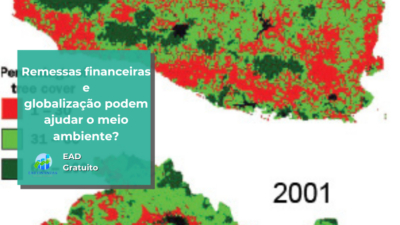 Remessas financeiras e globalização podem ajudar o meio ambiente?