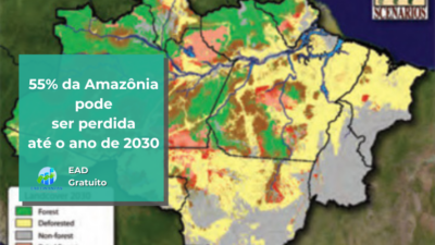 55% da Amazônia pode ser perdida até o ano de 2030