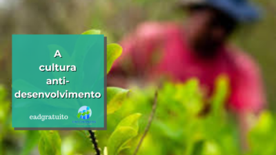 A cultura anti-desenvolvimento
