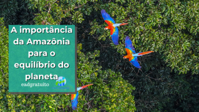 A importância da Amazônia para o equilíbrio do planeta