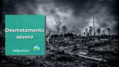 Desmatamento severo