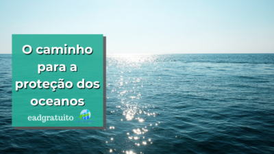 O caminho para a proteção dos oceanos