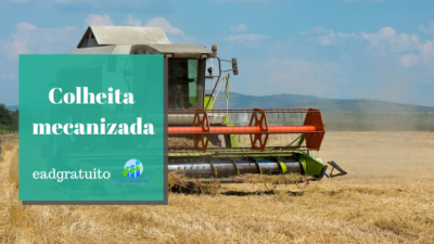 Colheita mecanizada