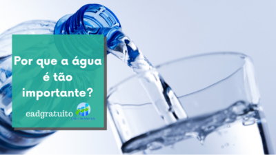 Por que a água é tão importante?