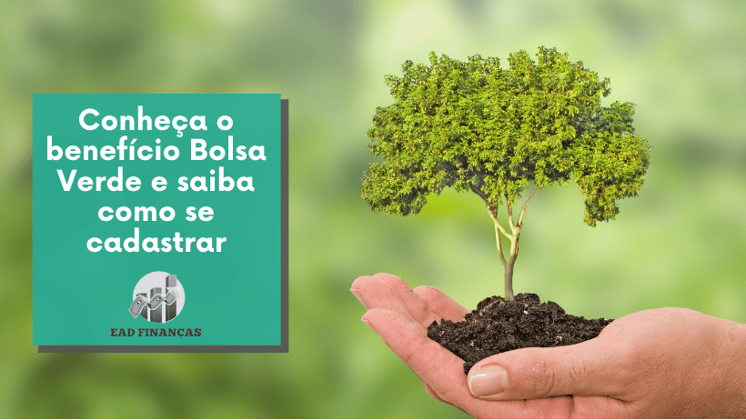 Conheça o benefício Bolsa Verde e saiba como se cadastrar