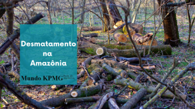 Desmatamento na Amazônia