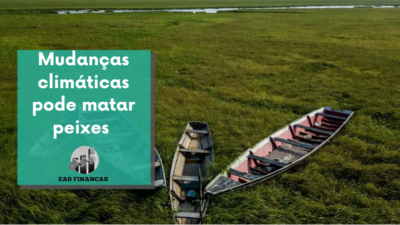 Mudanças climáticas pode matar peixes amazônicos