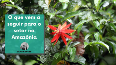 O que vem a seguir para o setor na Amazônia