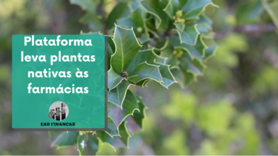 Plataforma leva plantas nativas às farmácias