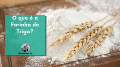 O que é a Farinha de Trigo?