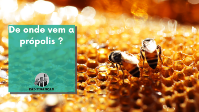 De onde vem a própolis ?