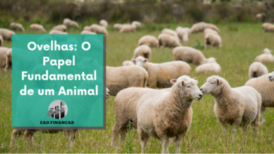 Ovelhas: O Papel Fundamental de um Animal