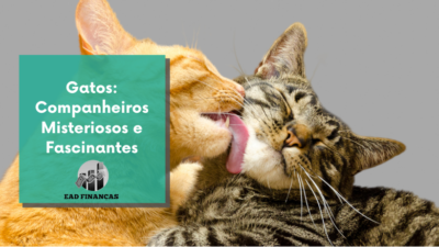 Gatos: Companheiros Misteriosos e Fascinantes