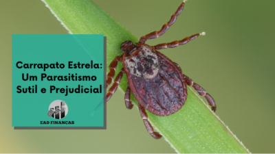 Carrapato Estrela: Um Parasitismo Sutil e Prejudicial