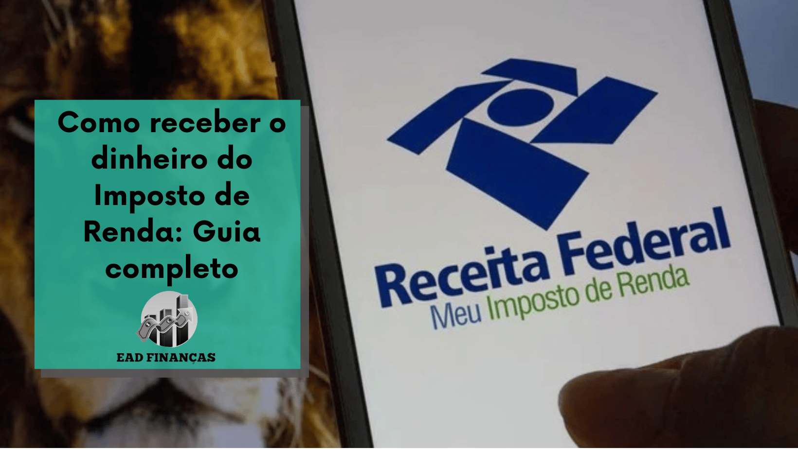 Como receber o dinheiro do Imposto de Renda: Guia completo