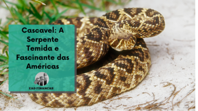 Cascavel: A Serpente Temida e Fascinante das Américas