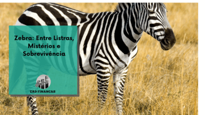 Zebra: Entre Listras, Mistérios e Sobrevivência