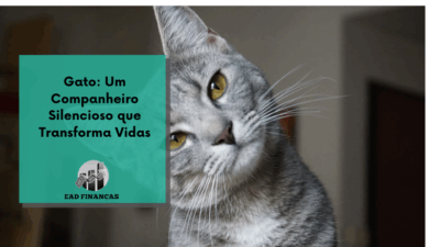 Gato: Um Companheiro Silencioso que Transforma Vidas
