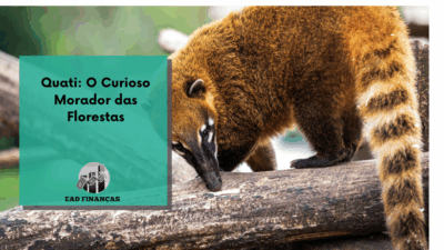 Quati: O Curioso Morador das Florestas