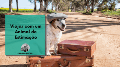 Viajar com um Animal de Estimação