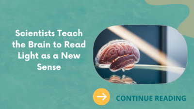 Scientists Teach the Brain to Read Light as a New Sense