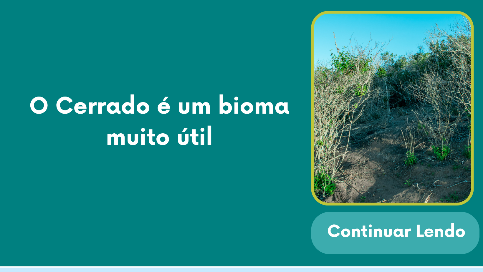 O Cerrado é um bioma muito útil