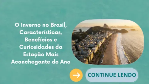 O Inverno no Brasil, Características, Benefícios e Curiosidades da Estação Mais Aconchegante do Ano