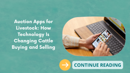 Auction Apps for Livestock: How Technology Is Changing Cattle Buying and Selling