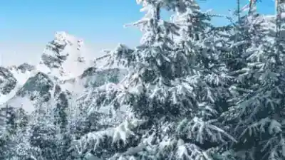 O Inverno e a Beleza do Recolhimento
